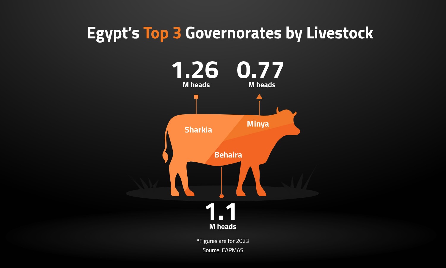 Egypt’s Top 3 Governorates by Livestock 